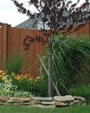 Reverse Runner cedar privacy and picket fencing