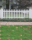 spaced white cedar wooden picket fence by elyria fence